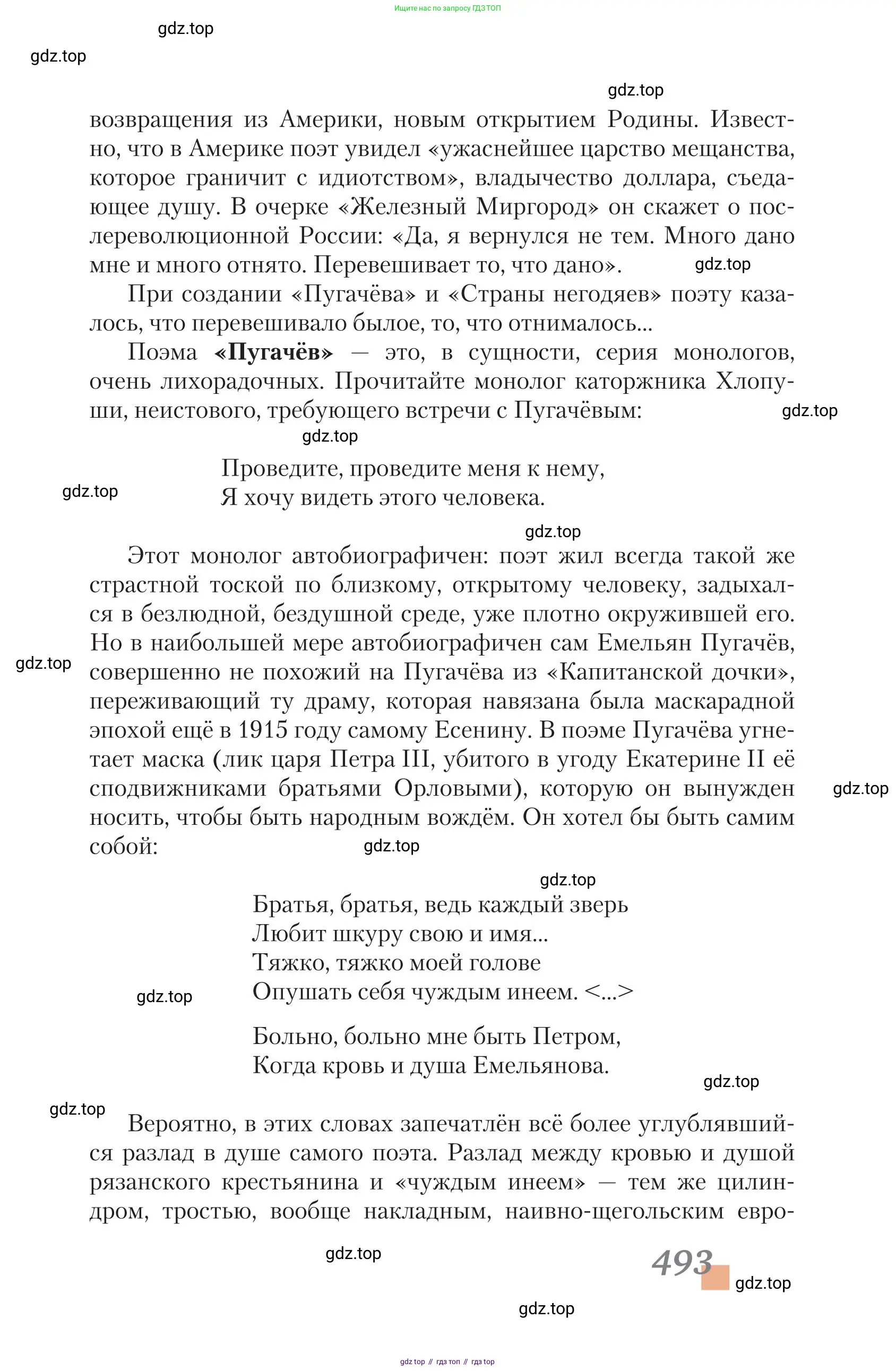 Литература, 11 класс Учебник, авторы: Зинин Сергей Александрович, Чалмаев Виктор Андреевич, издательство Русское слово, Москва, 2019, оранжевого цвета, страница 493