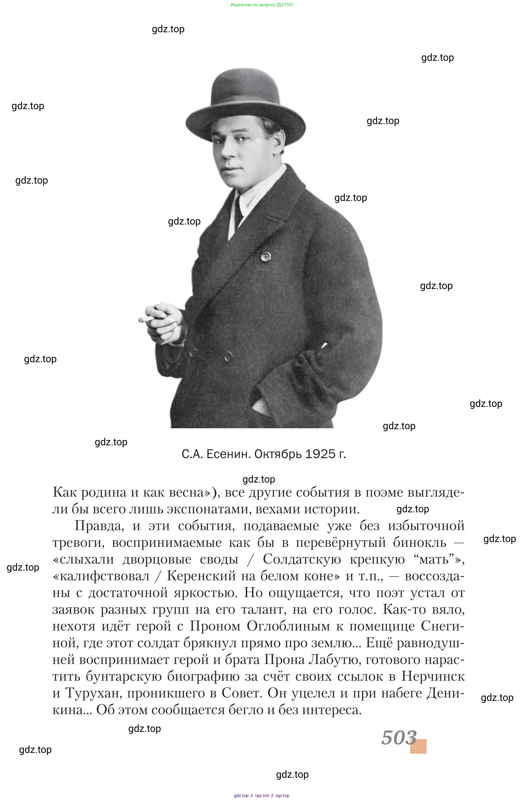 Литература, 11 класс Учебник, авторы: Зинин Сергей Александрович, Чалмаев Виктор Андреевич, издательство Русское слово, Москва, 2019, оранжевого цвета, страница 503