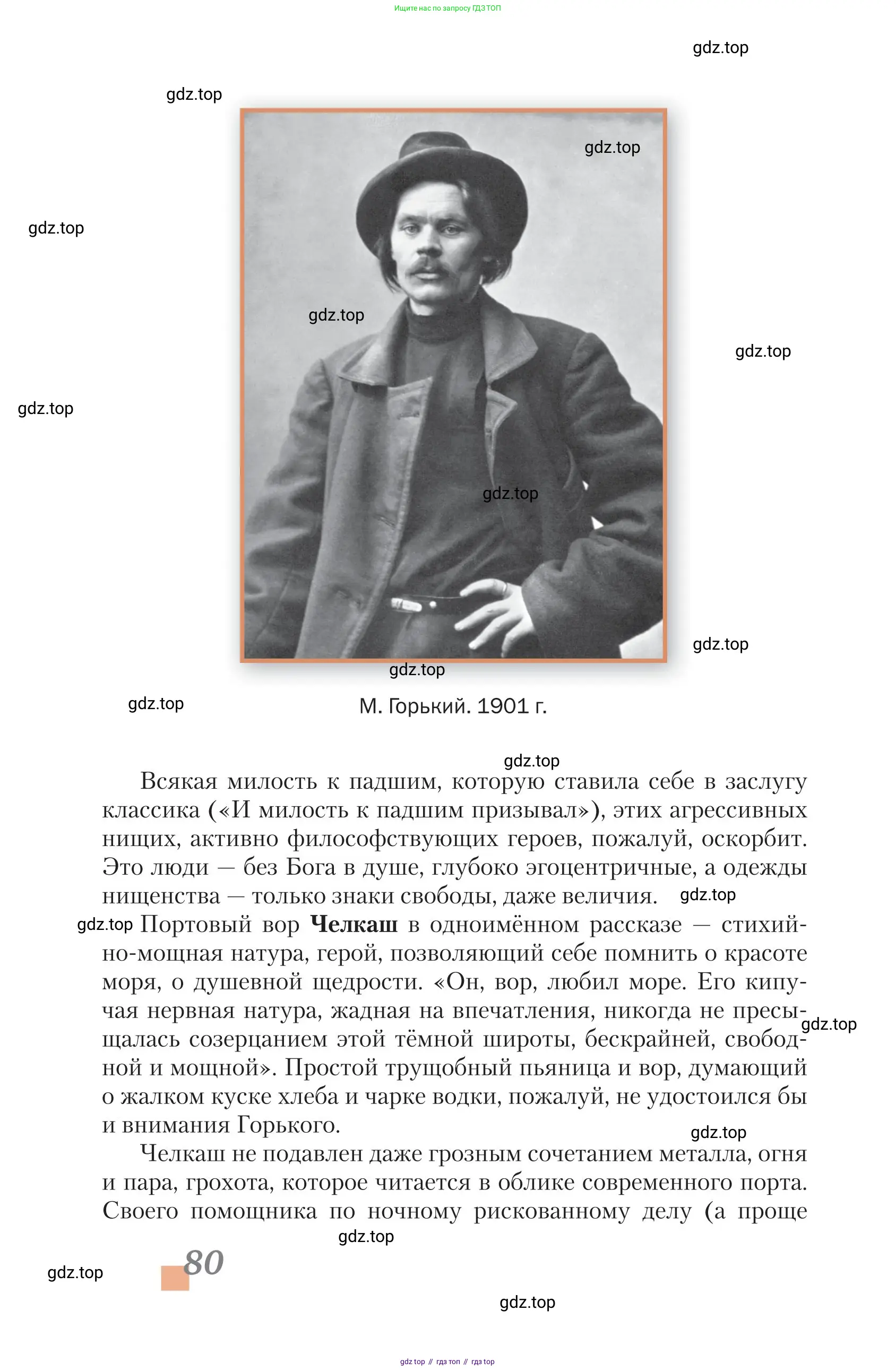 Литература, 11 класс Учебник, авторы: Зинин Сергей Александрович, Чалмаев Виктор Андреевич, издательство Русское слово, Москва, 2019, оранжевого цвета, страница 80