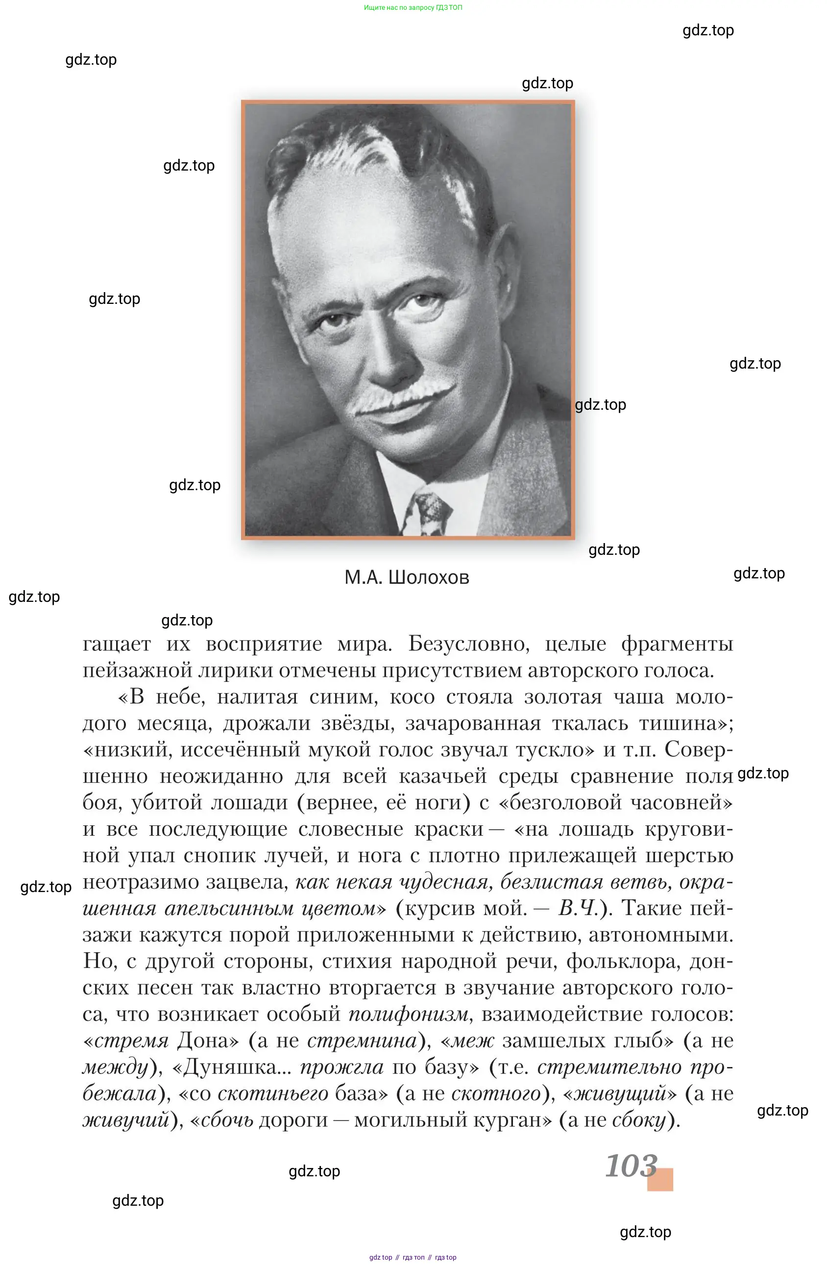 Литература, 11 класс Учебник, авторы: Зинин Сергей Александрович, Чалмаев Виктор Андреевич, издательство Русское слово, Москва, 2019, оранжевого цвета, Часть 1, страница 103