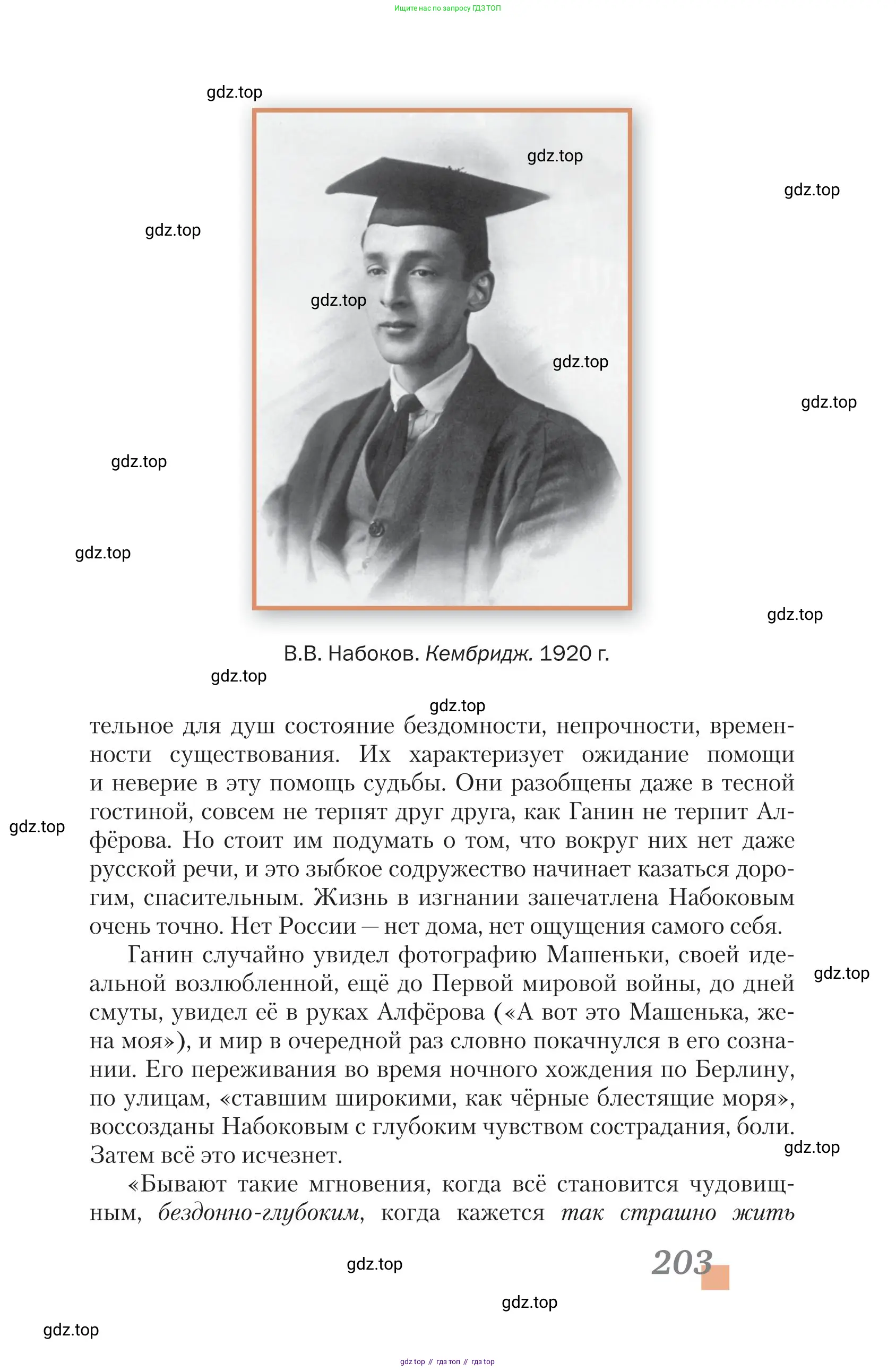 Литература, 11 класс Учебник, авторы: Зинин Сергей Александрович, Чалмаев Виктор Андреевич, издательство Русское слово, Москва, 2019, оранжевого цвета, страница 203