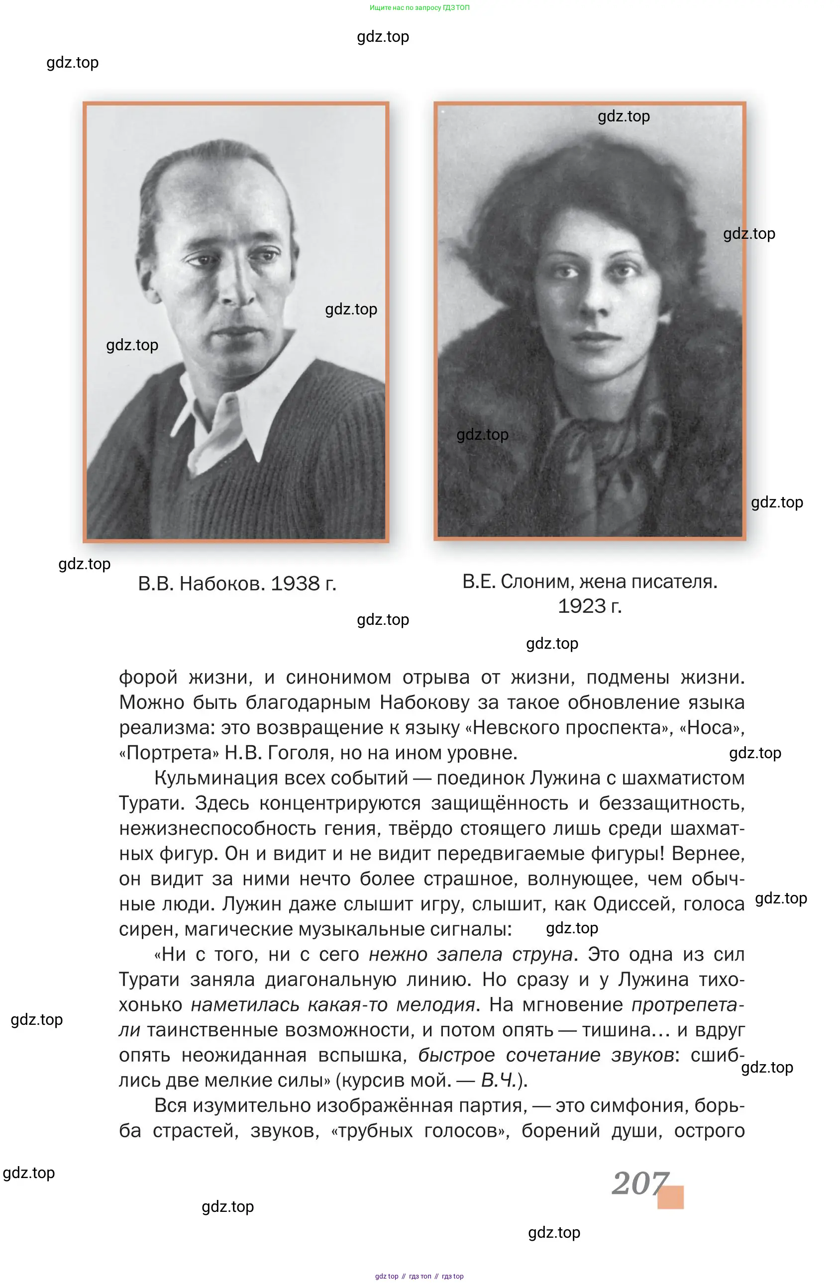 Литература, 11 класс Учебник, авторы: Зинин Сергей Александрович, Чалмаев Виктор Андреевич, издательство Русское слово, Москва, 2019, оранжевого цвета, Часть 1, страница 207