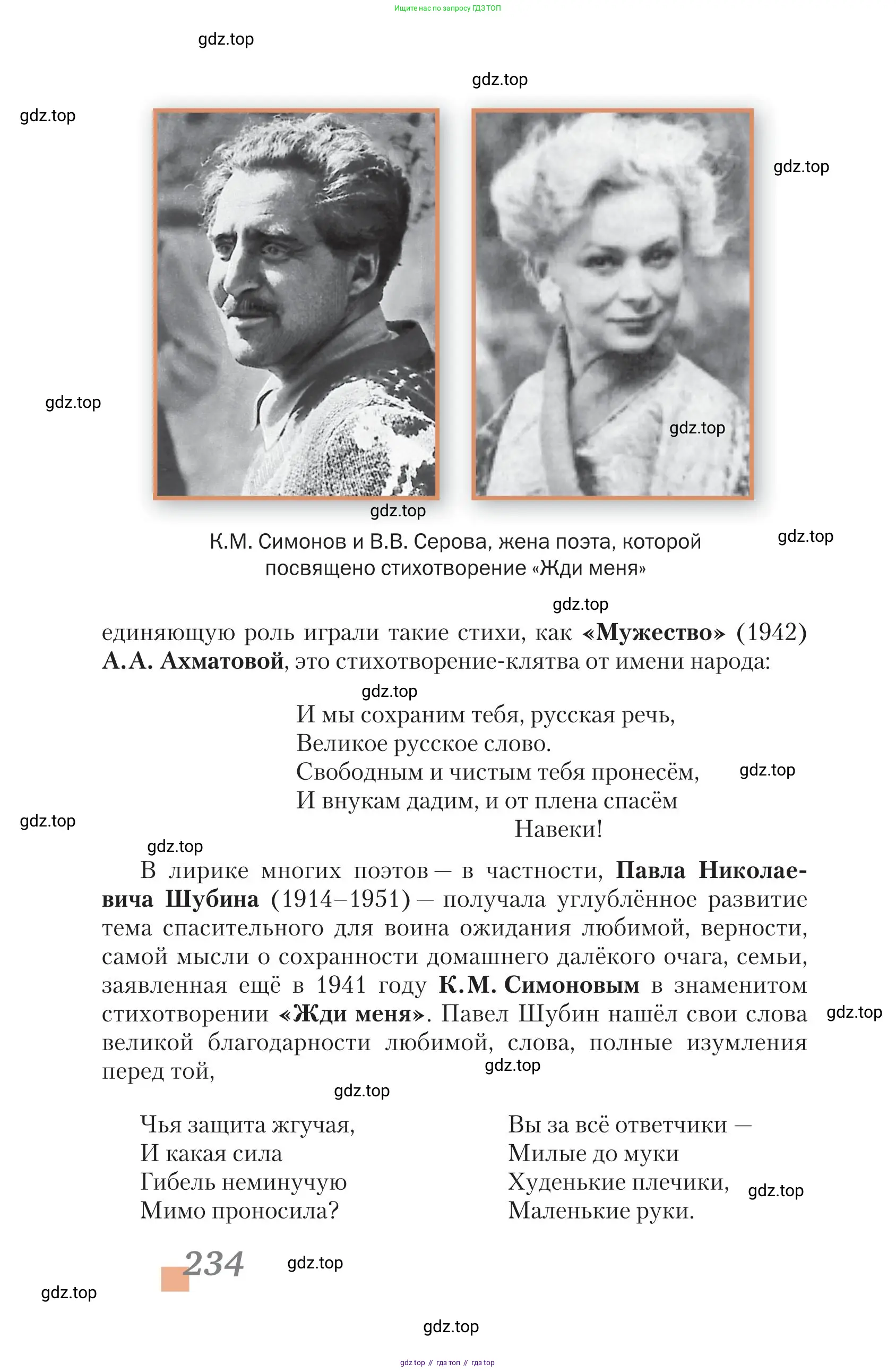 Литература, 11 класс Учебник, авторы: Зинин Сергей Александрович, Чалмаев Виктор Андреевич, издательство Русское слово, Москва, 2019, оранжевого цвета, страница 234