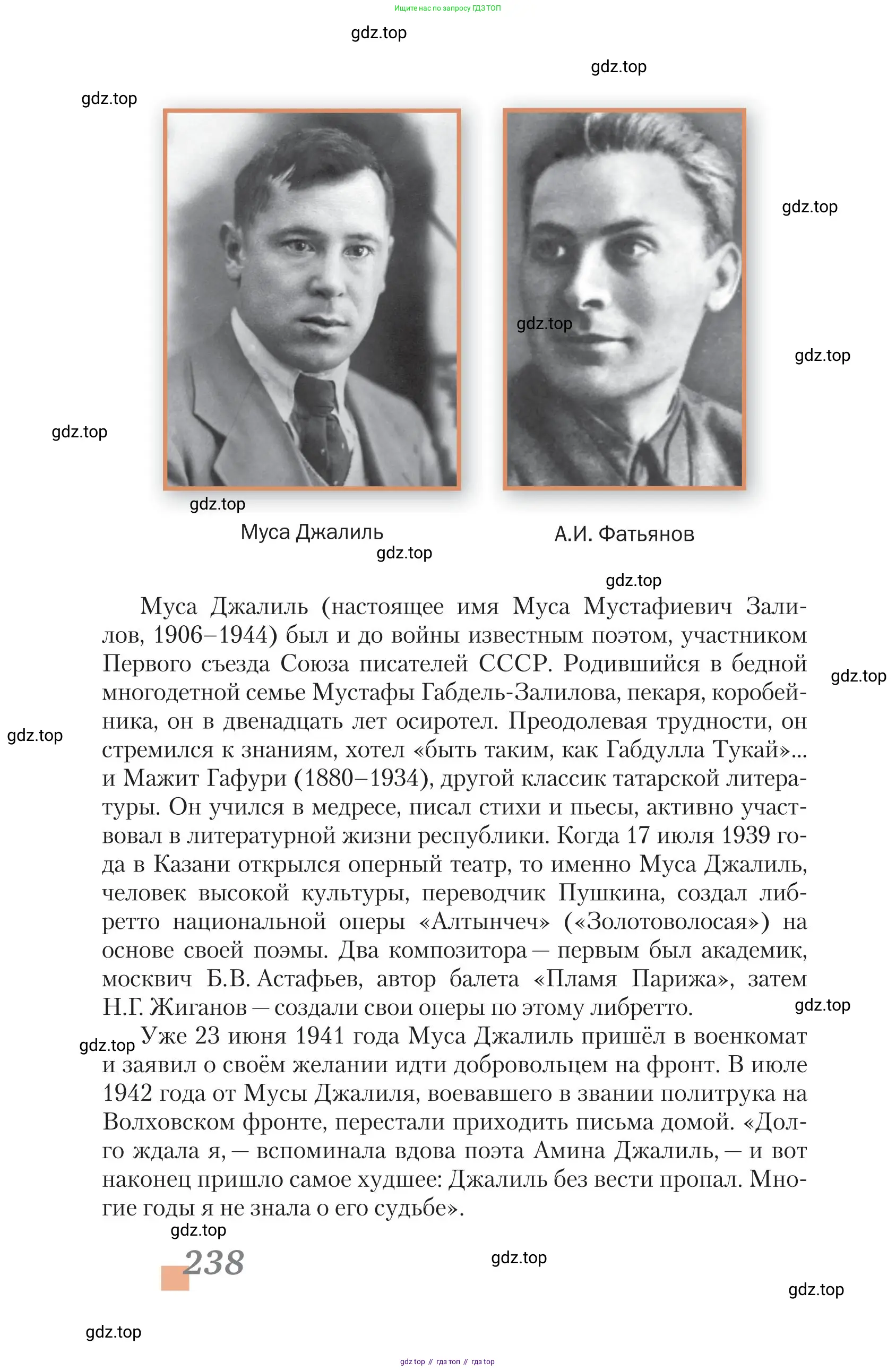Литература, 11 класс Учебник, авторы: Зинин Сергей Александрович, Чалмаев Виктор Андреевич, издательство Русское слово, Москва, 2019, оранжевого цвета, страница 238