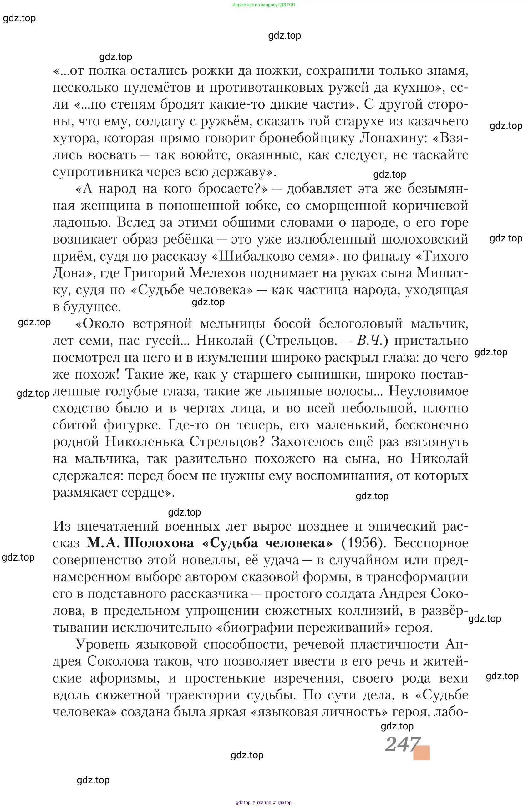 Литература, 11 класс Учебник, авторы: Зинин Сергей Александрович, Чалмаев Виктор Андреевич, издательство Русское слово, Москва, 2019, оранжевого цвета, Часть 2, страница 247
