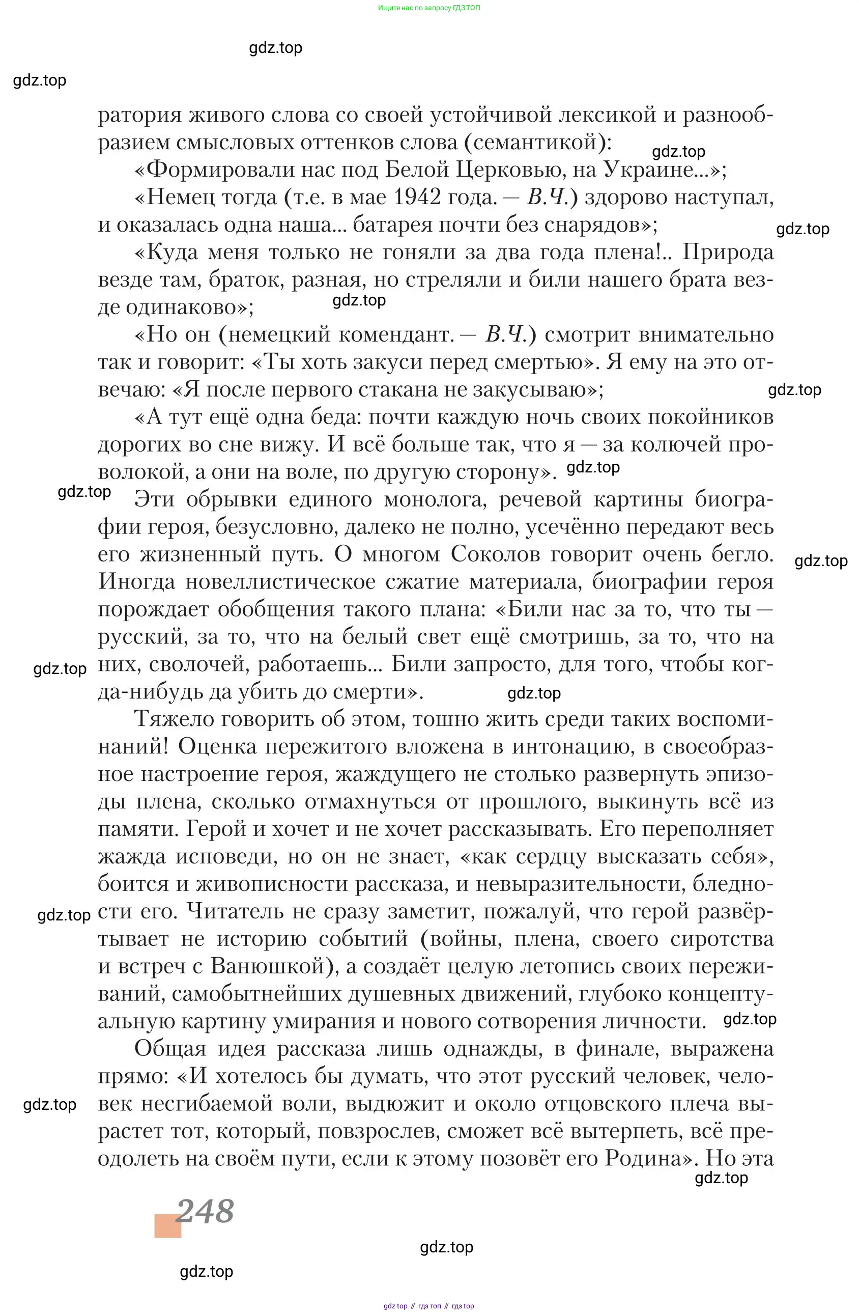 Литература, 11 класс Учебник, авторы: Зинин Сергей Александрович, Чалмаев Виктор Андреевич, издательство Русское слово, Москва, 2019, оранжевого цвета, страница 248