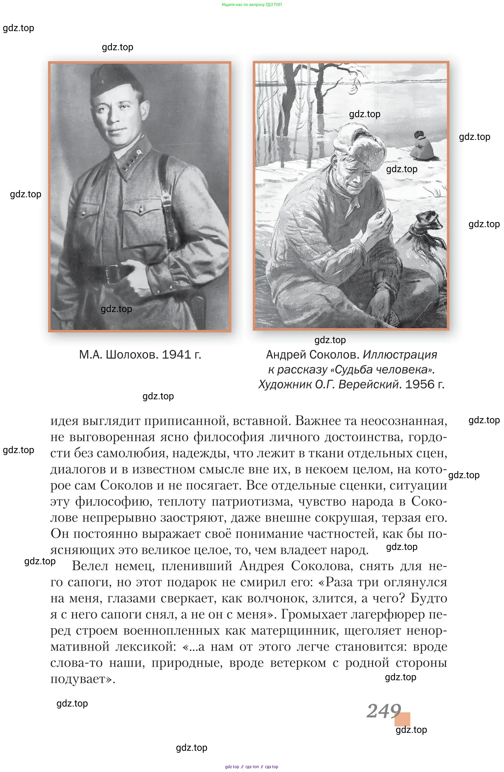 Литература, 11 класс Учебник, авторы: Зинин Сергей Александрович, Чалмаев Виктор Андреевич, издательство Русское слово, Москва, 2019, оранжевого цвета, страница 249