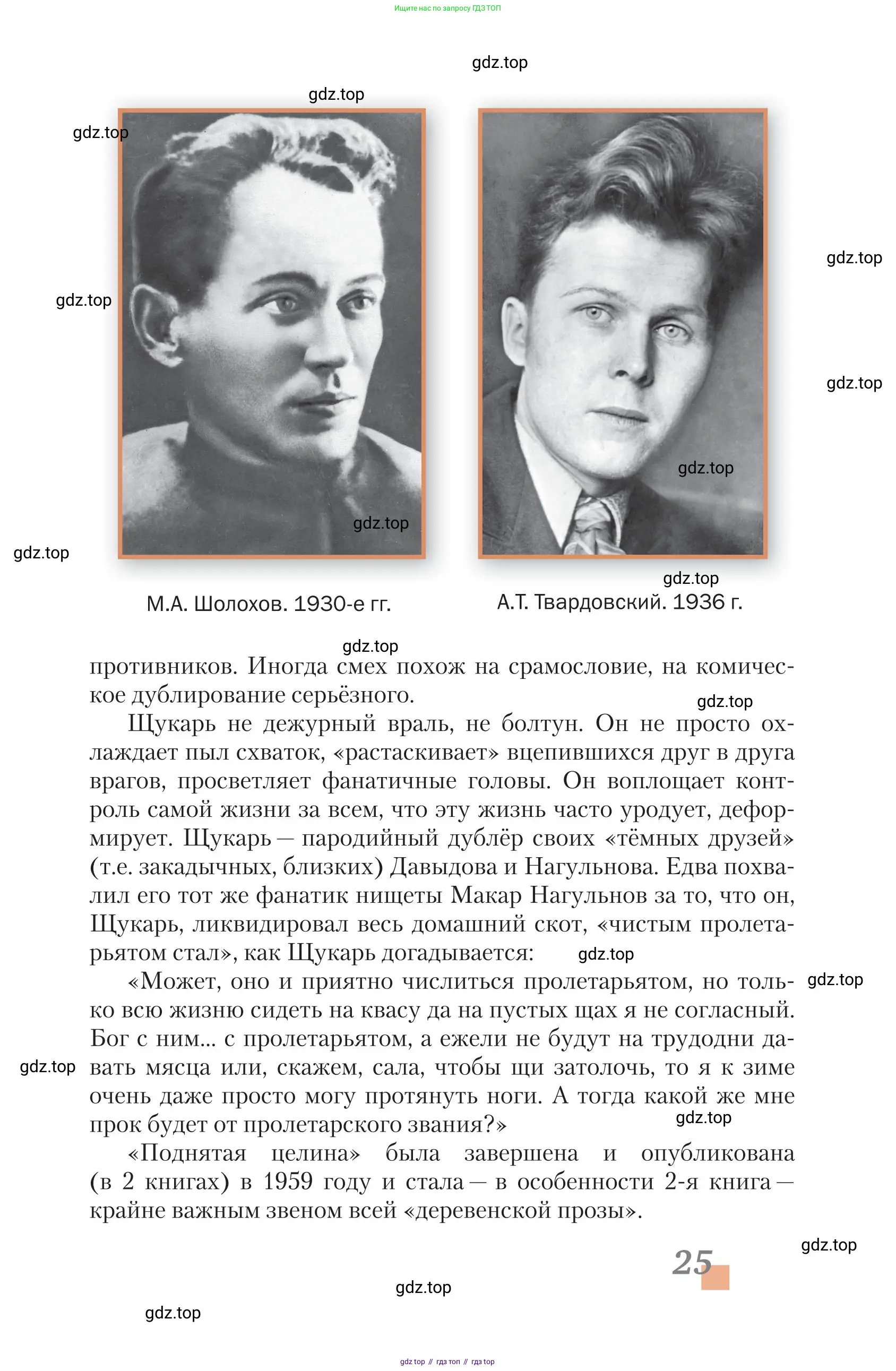 Литература, 11 класс Учебник, авторы: Зинин Сергей Александрович, Чалмаев Виктор Андреевич, издательство Русское слово, Москва, 2019, оранжевого цвета, страница 25