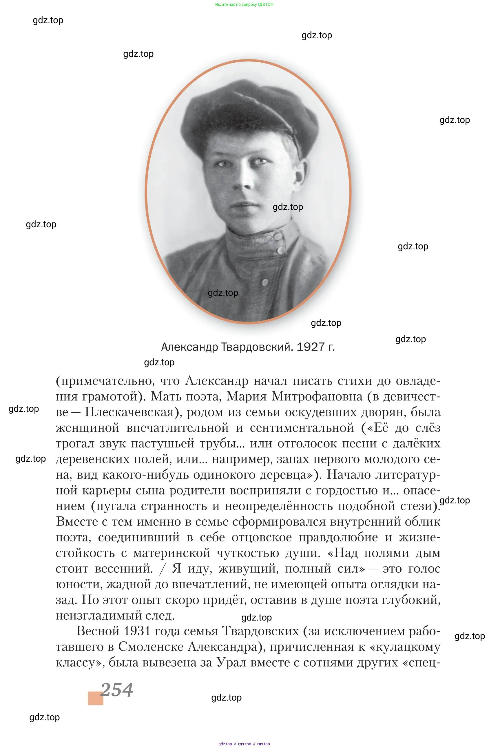 Литература, 11 класс Учебник, авторы: Зинин Сергей Александрович, Чалмаев Виктор Андреевич, издательство Русское слово, Москва, 2019, оранжевого цвета, страница 254