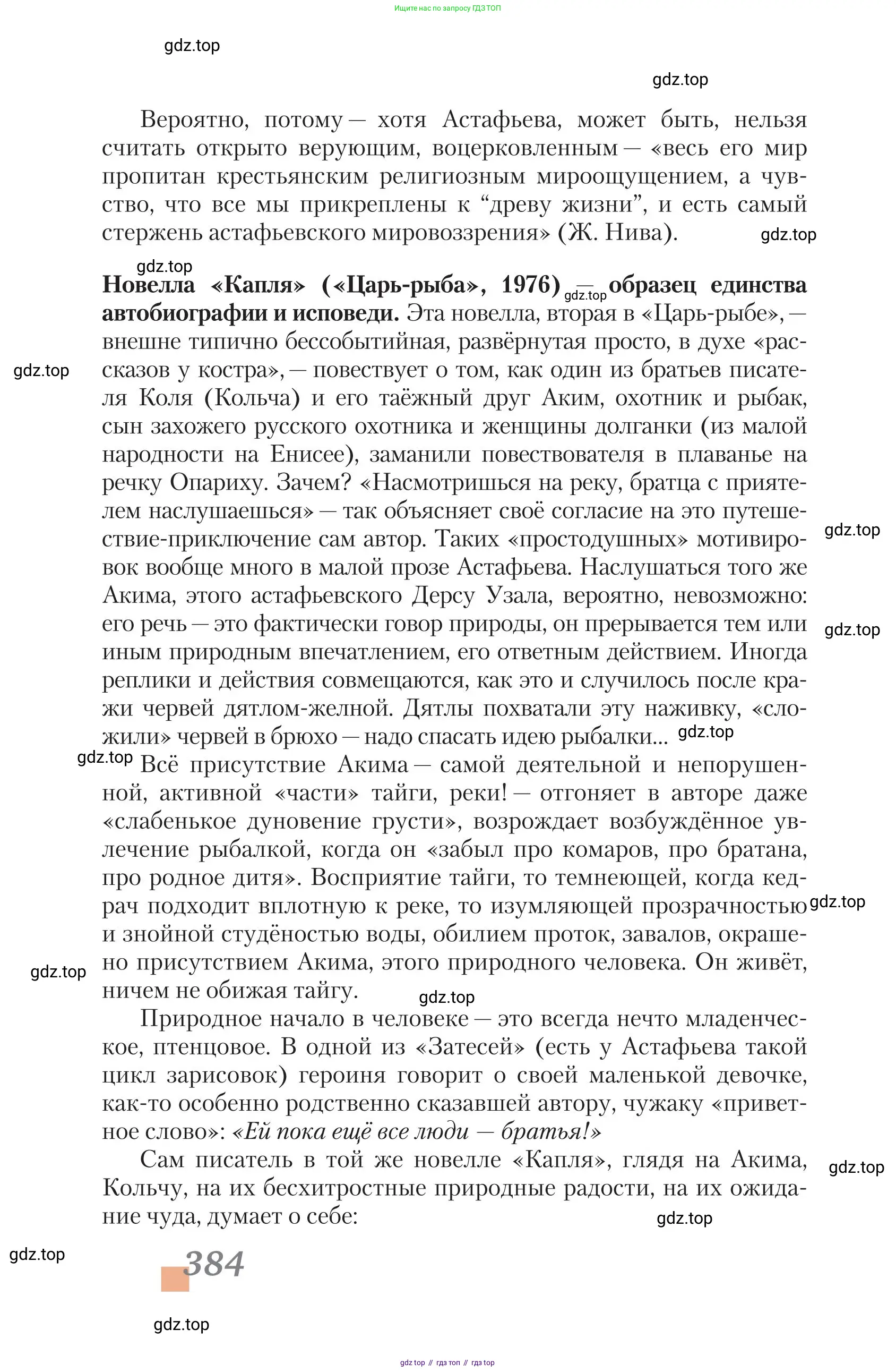 Литература, 11 класс Учебник, авторы: Зинин Сергей Александрович, Чалмаев Виктор Андреевич, издательство Русское слово, Москва, 2019, оранжевого цвета, Часть 1, страница 384