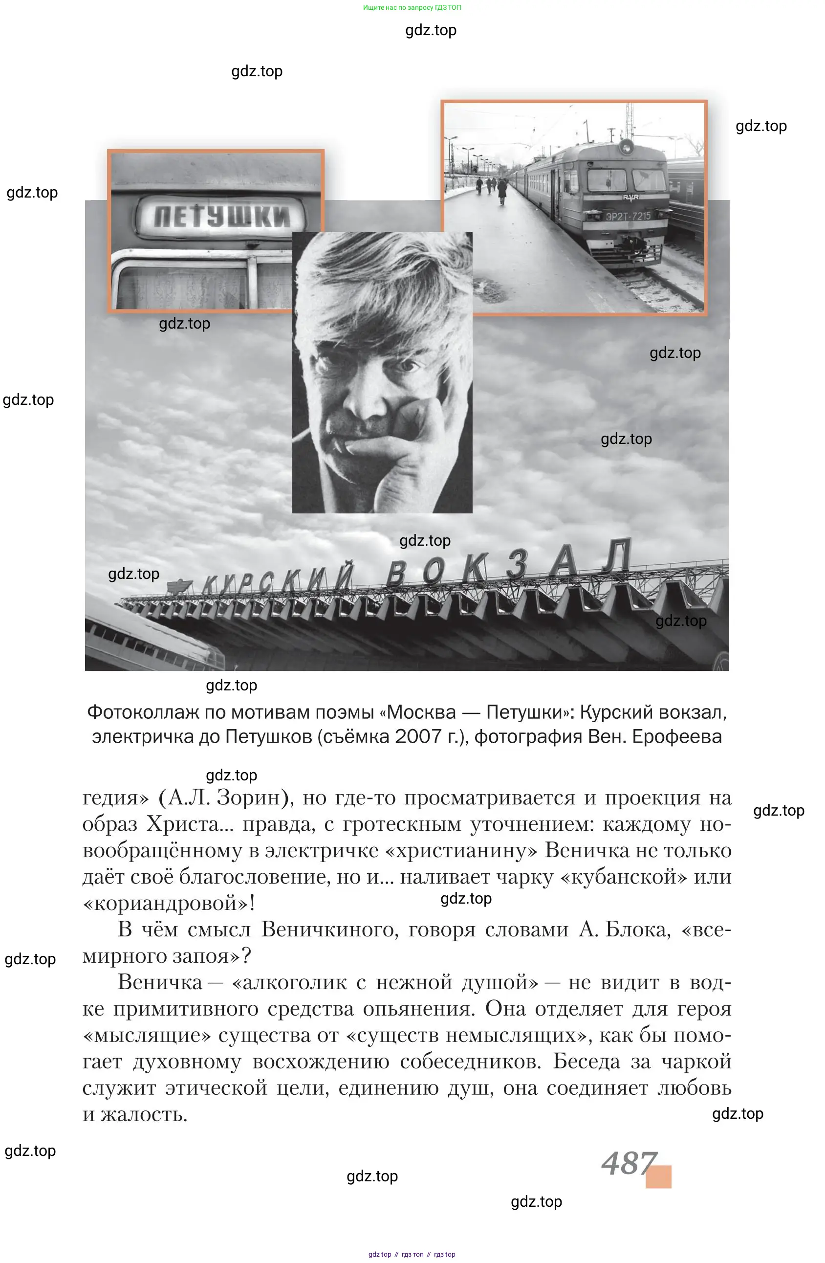 Литература, 11 класс Учебник, авторы: Зинин Сергей Александрович, Чалмаев Виктор Андреевич, издательство Русское слово, Москва, 2019, оранжевого цвета, страница 487