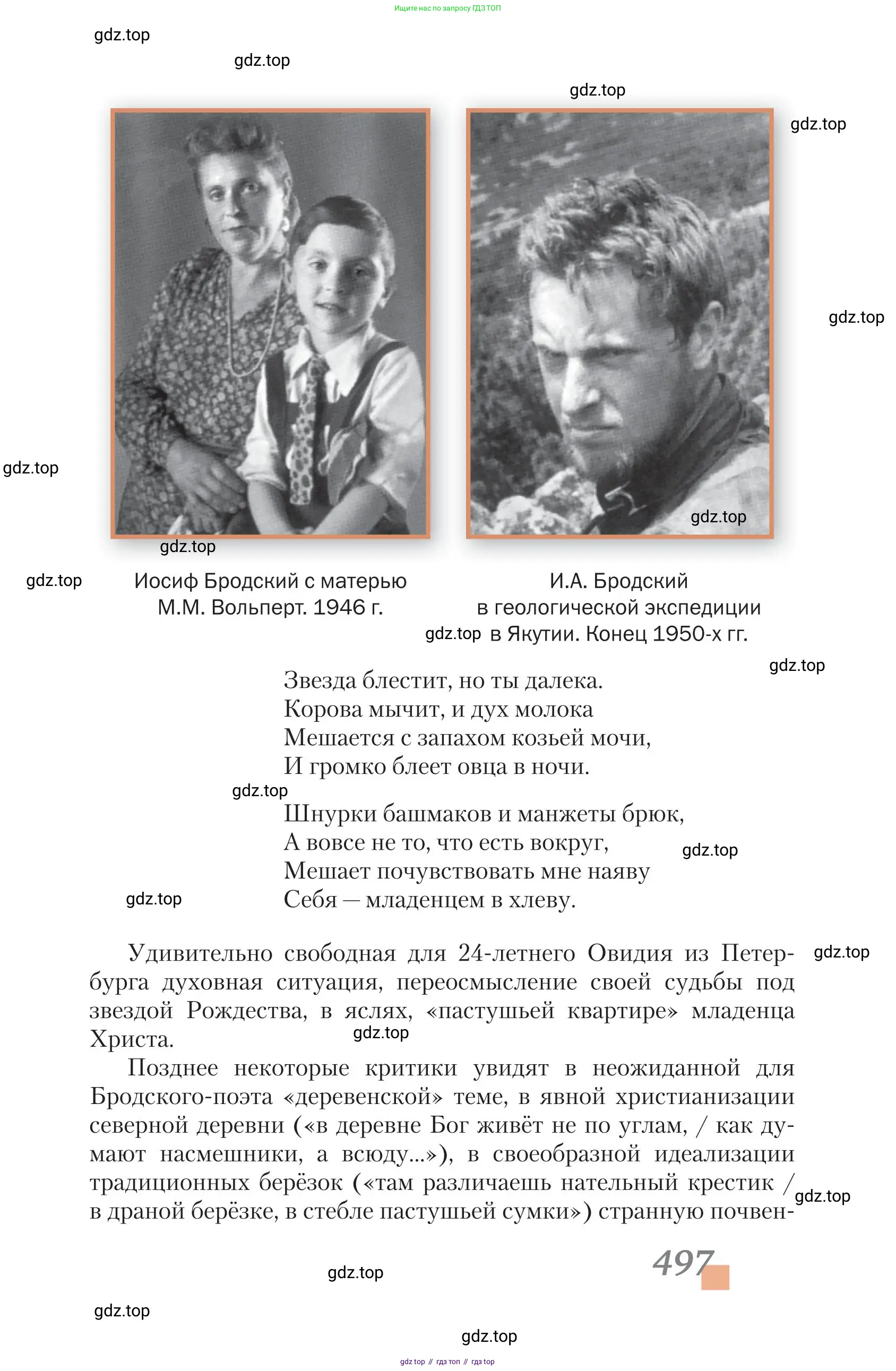 Литература, 11 класс Учебник, авторы: Зинин Сергей Александрович, Чалмаев Виктор Андреевич, издательство Русское слово, Москва, 2019, оранжевого цвета, Часть 1, страница 497