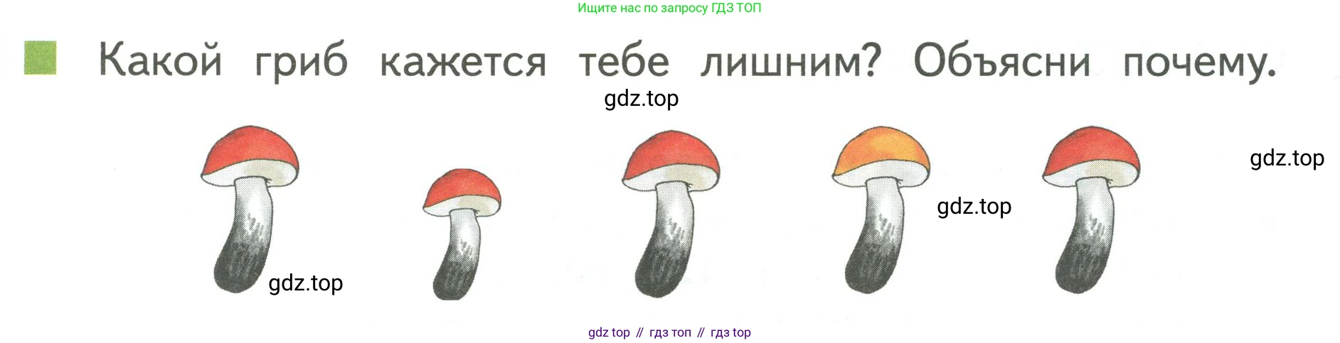 Математика, 1 класс Учебник, авторы: Дорофеев Георгий Владимирович, Миракова Татьяна Николаевна, Бука Татьяна Борисовна, издательство Просвещение, Москва, 2019 - 2022, белого цвета, Часть 1, страница 29, номер 5, Условие 2019-2022