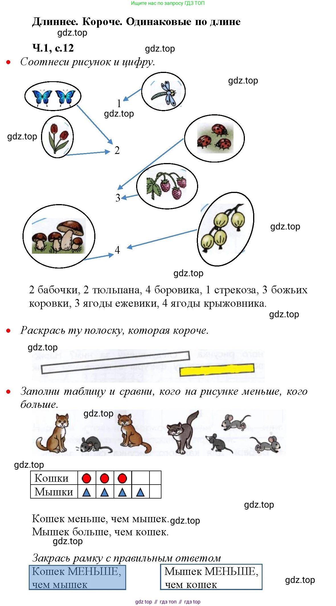 Математика, 1 класс рабочая тетрадь, авторы: Моро Мария Игнатьевна, Волкова Светлана Ивановна, издательство Просвещение, Москва, 2023, белого цвета, Часть 1, страница 12, Решение