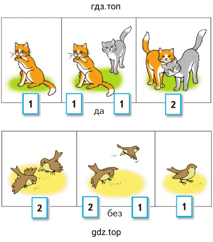 Коты и птички