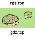 Рисунок 2. Два ёжика