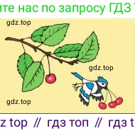 Птичка летит с 3 вишнями