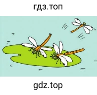 Стрекозы