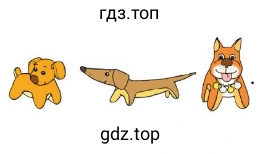Собаки