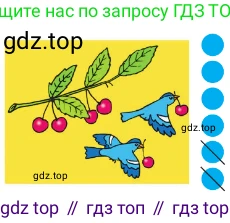 летят птицы