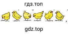 6 циплят