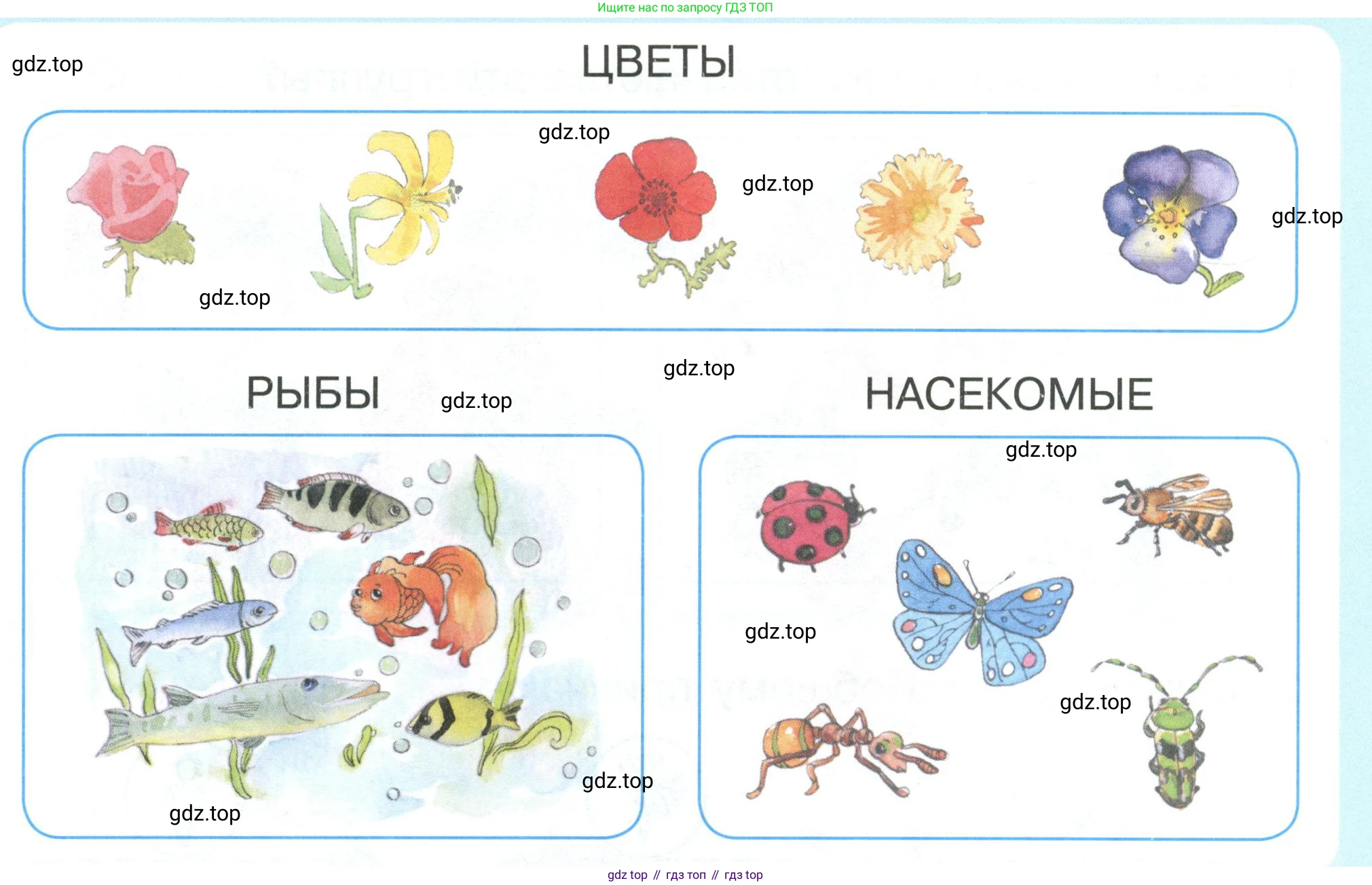 Математика, 1 класс учебное пособие - тетрадь, автор: Петерсон Людмила Георгиевна, издательство Просвещение, Москва, 2024, жёлтого цвета, Часть 1, страница 7, номер 5, Условие (2021-2022) (продолжение 3)