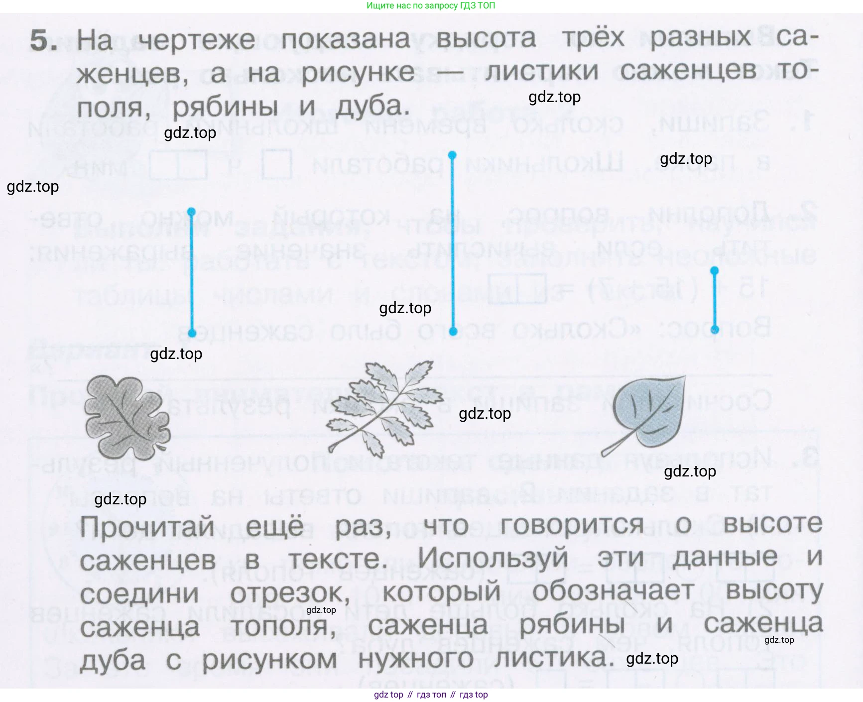 Математика, 2 класс Тетрадь учебных достижений, автор: Волкова Светлана Ивановна, издательство Просвещение, Москва, 2023, белого цвета, страница 64, номер 5, Условие