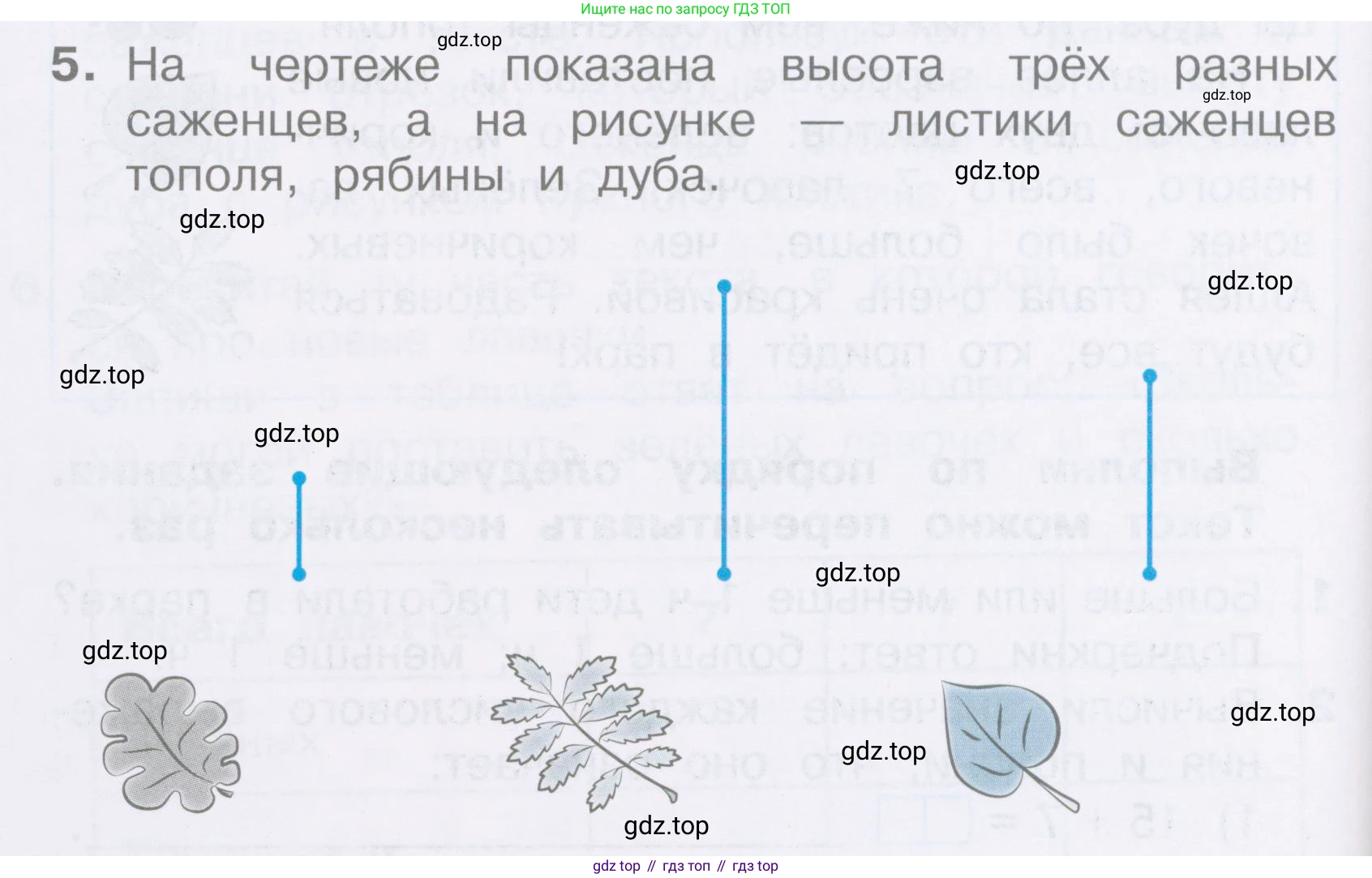 Математика, 2 класс Тетрадь учебных достижений, автор: Волкова Светлана Ивановна, издательство Просвещение, Москва, 2023, белого цвета, страница 66, номер 5, Условие