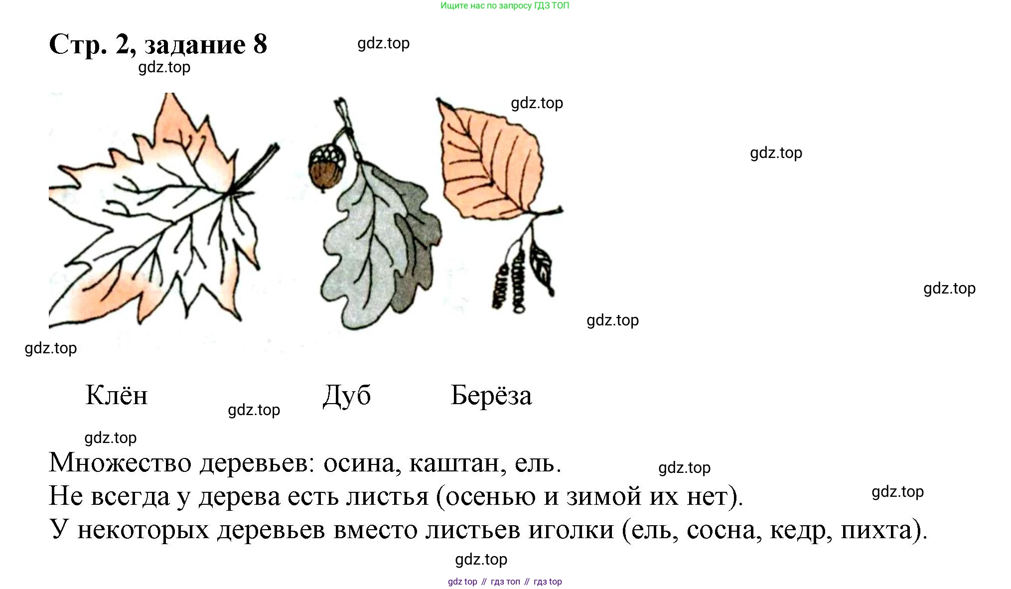Математика, 3 класс учебное пособие - тетрадь, автор: Петерсон Людмила Георгиевна, издательство Просвещение, Москва, 2024, зелёного цвета, Часть 1, страница 2, номер 8, Решение 2020-2022