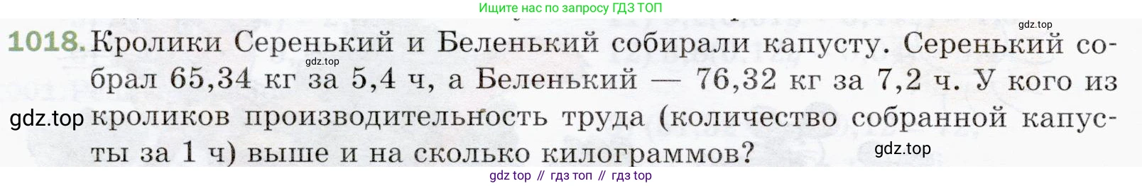 ГДЗ Математика, 5 класс Учебник, авторы: Мерзляк Аркадий Григорьевич, Полонский Виталий Борисович, Якир Михаил Семёнович, издательство Просвещение, Москва, 2019 - 2022, голубого цвета, страница 246, номер 1018, Условие