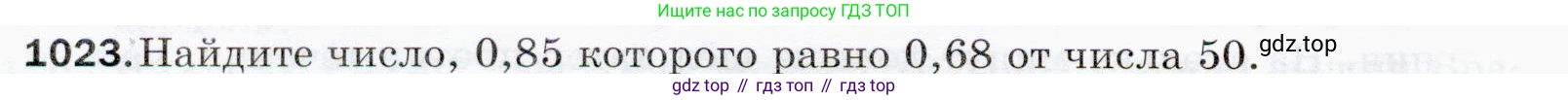 ГДЗ Математика, 5 класс Учебник, авторы: Мерзляк Аркадий Григорьевич, Полонский Виталий Борисович, Якир Михаил Семёнович, издательство Просвещение, Москва, 2019 - 2022, голубого цвета, страница 246, номер 1023, Условие