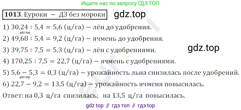 ГДЗ Математика, 5 класс Учебник, авторы: Мерзляк Аркадий Григорьевич, Полонский Виталий Борисович, Якир Михаил Семёнович, издательство Просвещение, Москва, 2019 - 2022, голубого цвета, страница 245, номер 1013, Решение 3