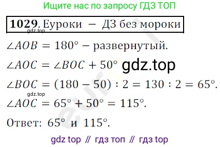 ГДЗ Математика, 5 класс Учебник, авторы: Мерзляк Аркадий Григорьевич, Полонский Виталий Борисович, Якир Михаил Семёнович, издательство Просвещение, Москва, 2019 - 2022, голубого цвета, страница 247, номер 1029, Решение 3