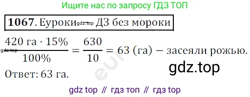 ГДЗ Математика, 5 класс Учебник, авторы: Мерзляк Аркадий Григорьевич, Полонский Виталий Борисович, Якир Михаил Семёнович, издательство Просвещение, Москва, 2019 - 2022, голубого цвета, страница 256, номер 1067, Решение 3