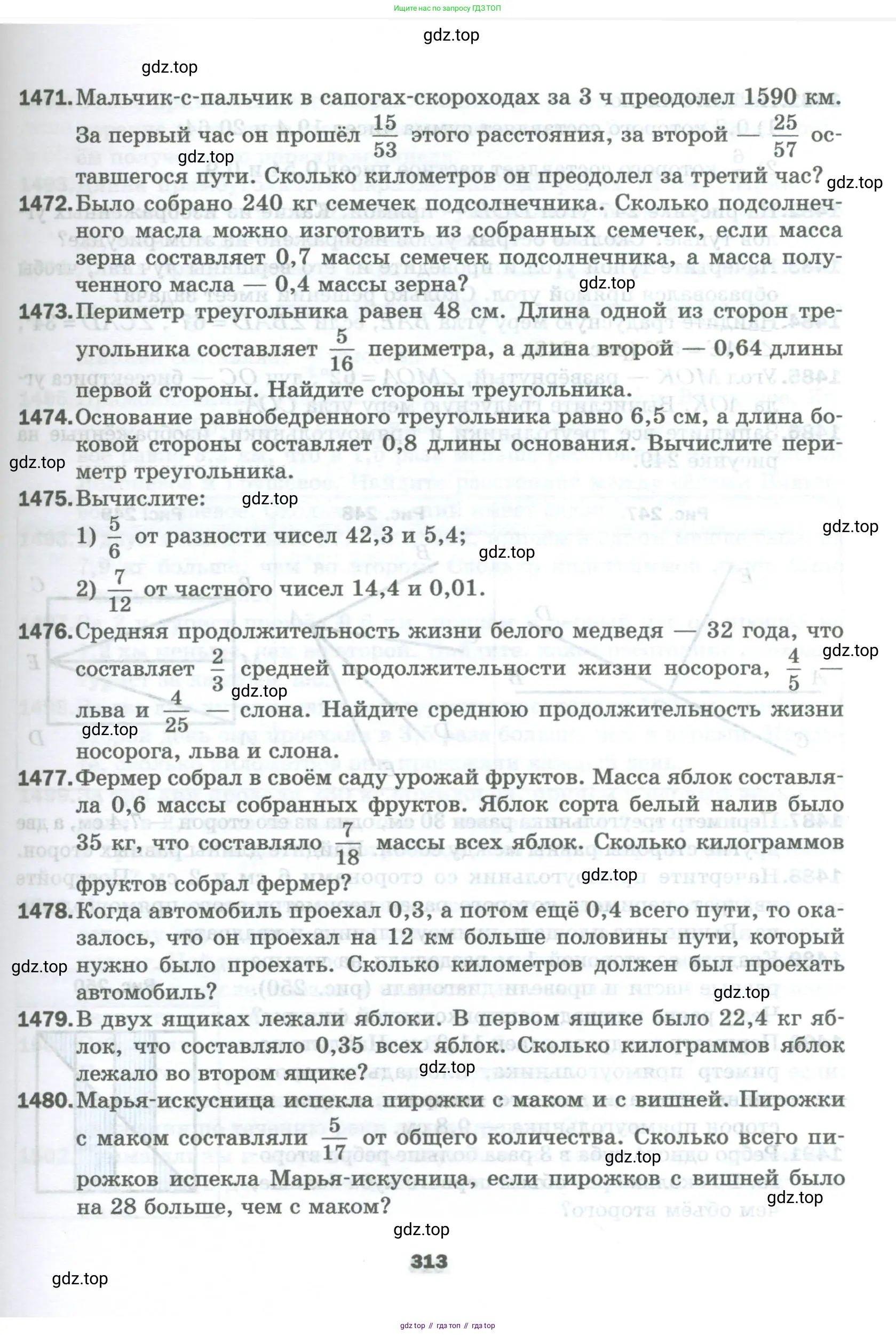 Математика, 5 класс Учебник, авторы: Мерзляк Аркадий Григорьевич, Полонский Виталий Борисович, Якир Михаил Семёнович, издательство Просвещение, Москва, 2023, голубого цвета, страница 313