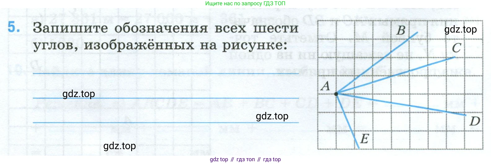 Математика, 5 класс рабочая тетрадь, автор: Ткачева Мария Владимировна, издательство Просвещение, Москва, 2024, белого цвета, страница 12, номер 5, Условие 2024