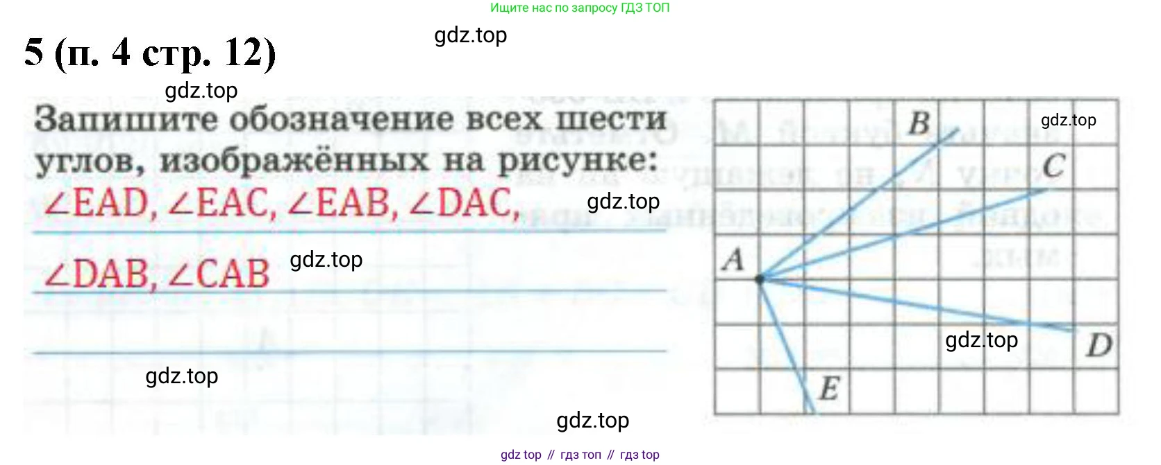 Математика, 5 класс рабочая тетрадь, автор: Ткачева Мария Владимировна, издательство Просвещение, Москва, 2024, белого цвета, страница 12, номер 5, Решение 2024