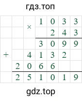 1033*243=251019