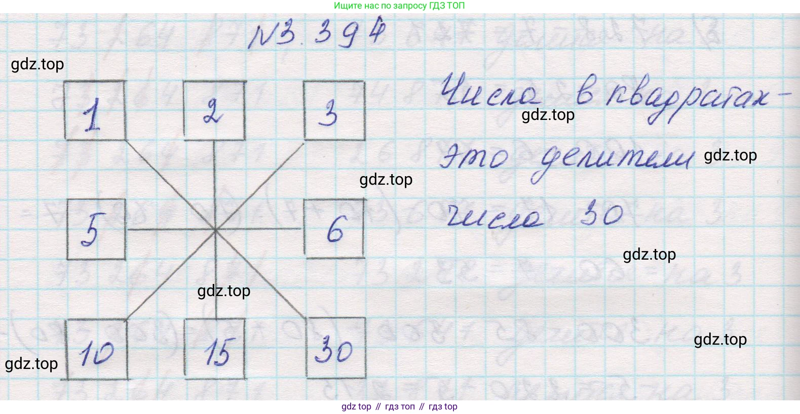 Математика, 5 класс Учебник, авторы: Виленкин Наум Яковлевич, Жохов Владимир Иванович, Чесноков Александр Семёнович, Александрова Лилия Александровна, Шварцбурд Семён Исаакович, издательство Просвещение, Москва, 2023, белого цвета, Часть 1, страница 126, номер 3.394, Решение 1