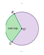 Что такое сектор круга? Часть круга, ограниченную двумя радиусами, называют сектором круга.