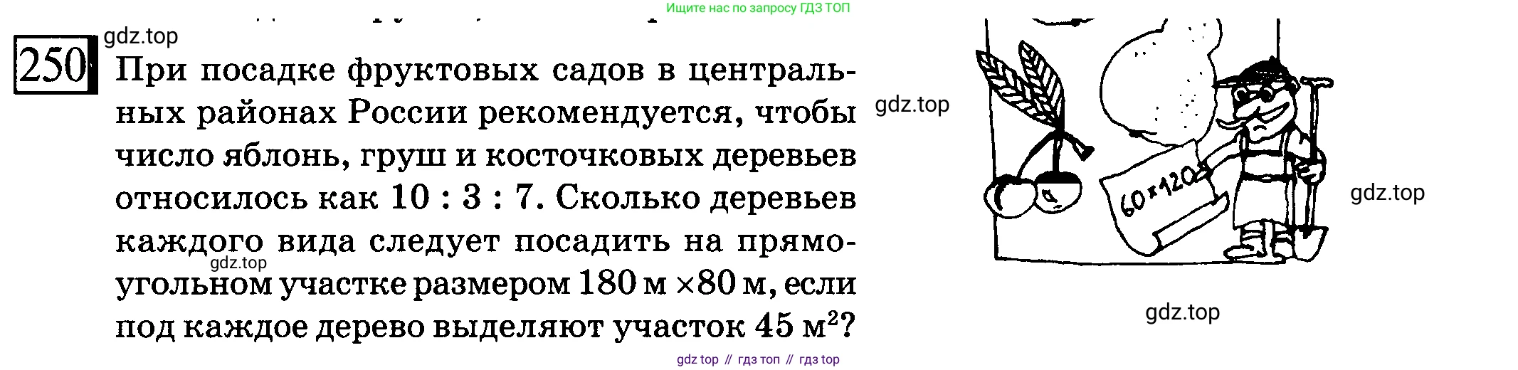 ГДЗ Математика, 6 класс Учебник, авторы: Дорофеев Георгий Владимирович, Петерсон Людмила Георгиевна, издательство Просвещение, Москва, 2023, голубого цвета, Часть 2, страница 61, номер 250, Условие 2010-2022