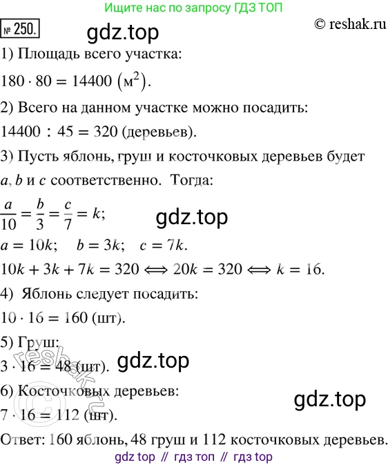 ГДЗ Математика, 6 класс Учебник, авторы: Дорофеев Георгий Владимирович, Петерсон Людмила Георгиевна, издательство Просвещение, Москва, 2023, голубого цвета, Часть 2, страница 61, номер 250, Решение 2 (2010-2022)