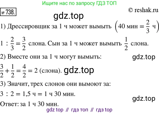ГДЗ Математика, 6 класс Учебник, авторы: Дорофеев Георгий Владимирович, Петерсон Людмила Георгиевна, издательство Просвещение, Москва, 2023, голубого цвета, Часть 3, страница 169, номер 738, Решение 2 (2010-2022)