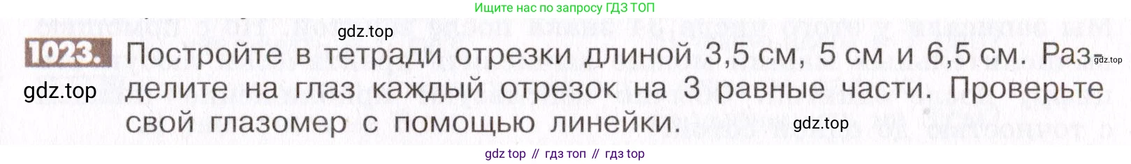 ГДЗ Математика, 6 класс Учебник, авторы: Никольский Сергей Михайлович, Потапов Михаил Константинович, Решетников Николай Николаевич, Шевкин Александр Владимирович, издательство Просвещение, Москва, 2019 - 2022, страница 207, номер 1023, Условие