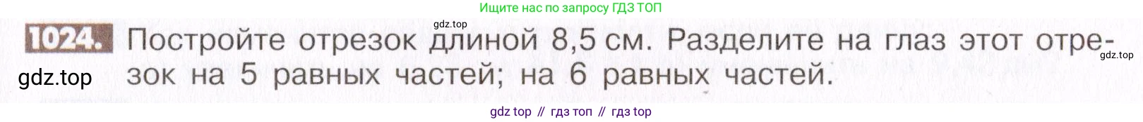 ГДЗ Математика, 6 класс Учебник, авторы: Никольский Сергей Михайлович, Потапов Михаил Константинович, Решетников Николай Николаевич, Шевкин Александр Владимирович, издательство Просвещение, Москва, 2019 - 2022, страница 207, номер 1024, Условие