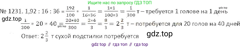 ГДЗ Математика, 6 класс Учебник, авторы: Никольский Сергей Михайлович, Потапов Михаил Константинович, Решетников Николай Николаевич, Шевкин Александр Владимирович, издательство Просвещение, Москва, 2019 - 2022, страница 243, номер 1231, Решение 6