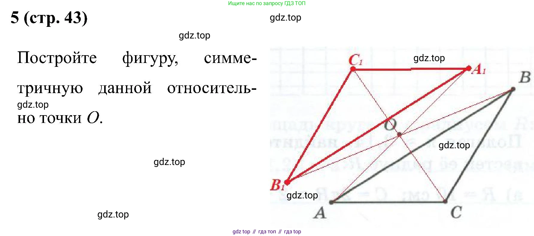 Математика, 6 класс рабочая тетрадь, автор: Ткачева Мария Владимировна, издательство Просвещение, Москва, 2023, белого цвета, страница 43, номер 5, Решение