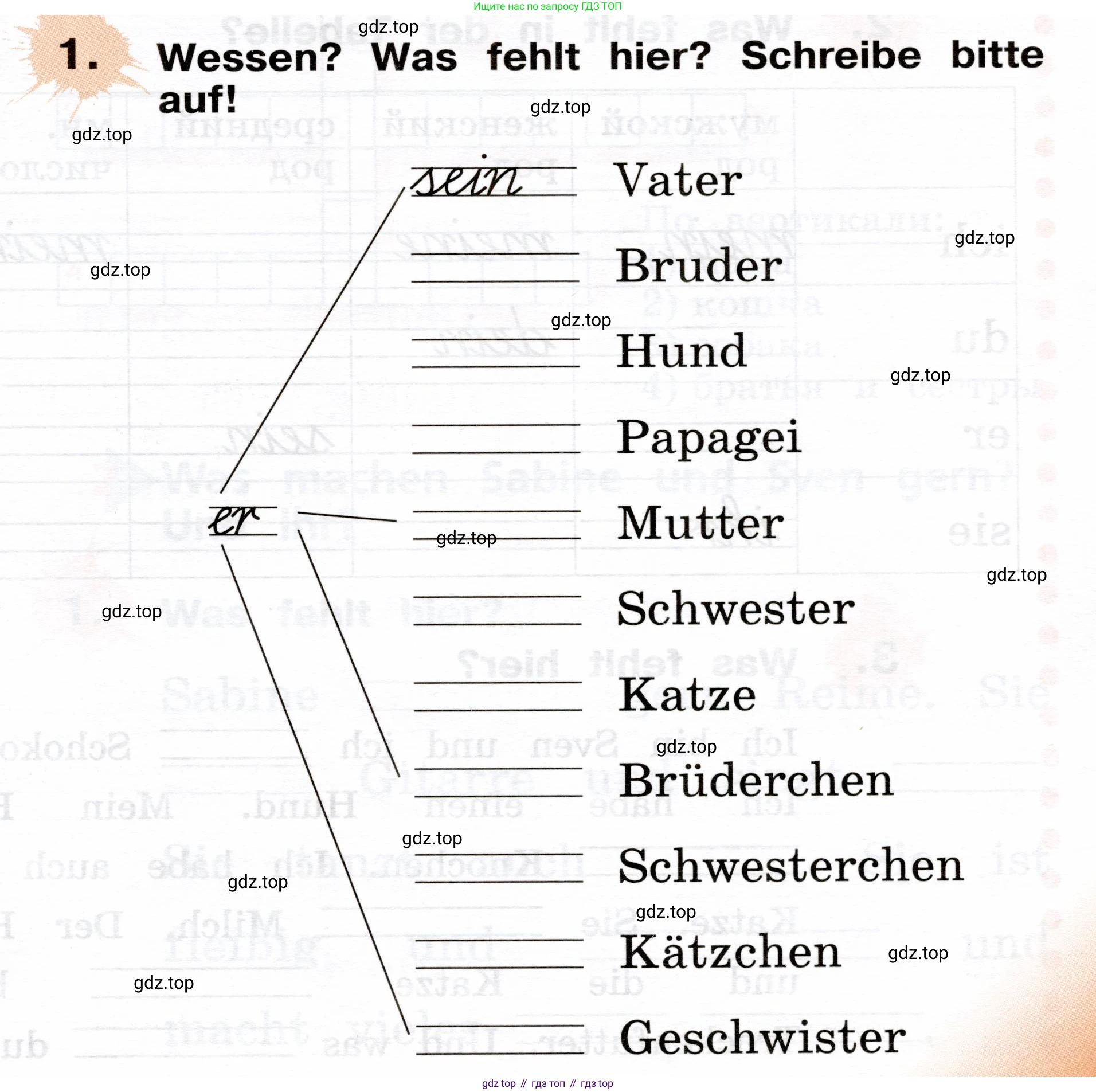 ГДЗ Немецкий язык (Deutsch), 2 класс рабочая тетрадь (arbeitsbuch), авторы: Бим Инесса Львовна (Bim I), Рыжова Лариса Ивановна (Ryschowa L), издательство Просвещение, Москва, 2023, бежевого цвета, Часть 2, страница 23, номер 1, Условие