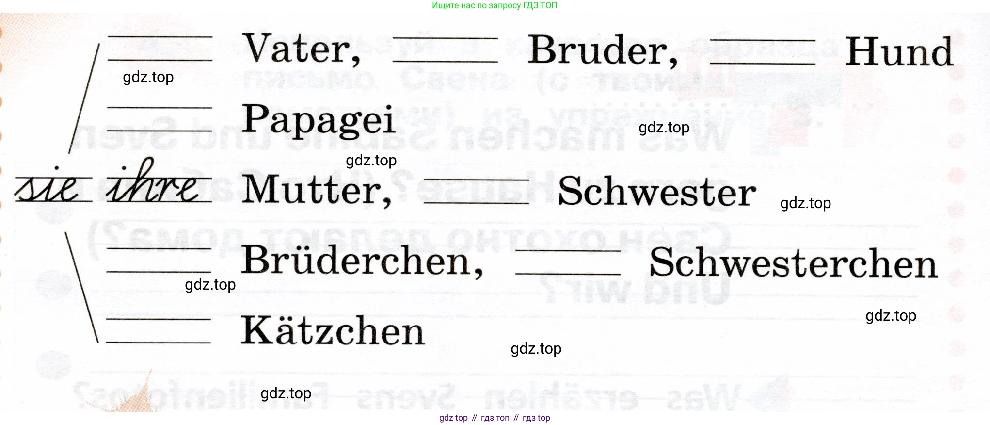 ГДЗ Немецкий язык (Deutsch), 2 класс рабочая тетрадь (arbeitsbuch), авторы: Бим Инесса Львовна (Bim I), Рыжова Лариса Ивановна (Ryschowa L), издательство Просвещение, Москва, 2023, бежевого цвета, Часть 2, страница 23, номер 1, Условие (продолжение 2)