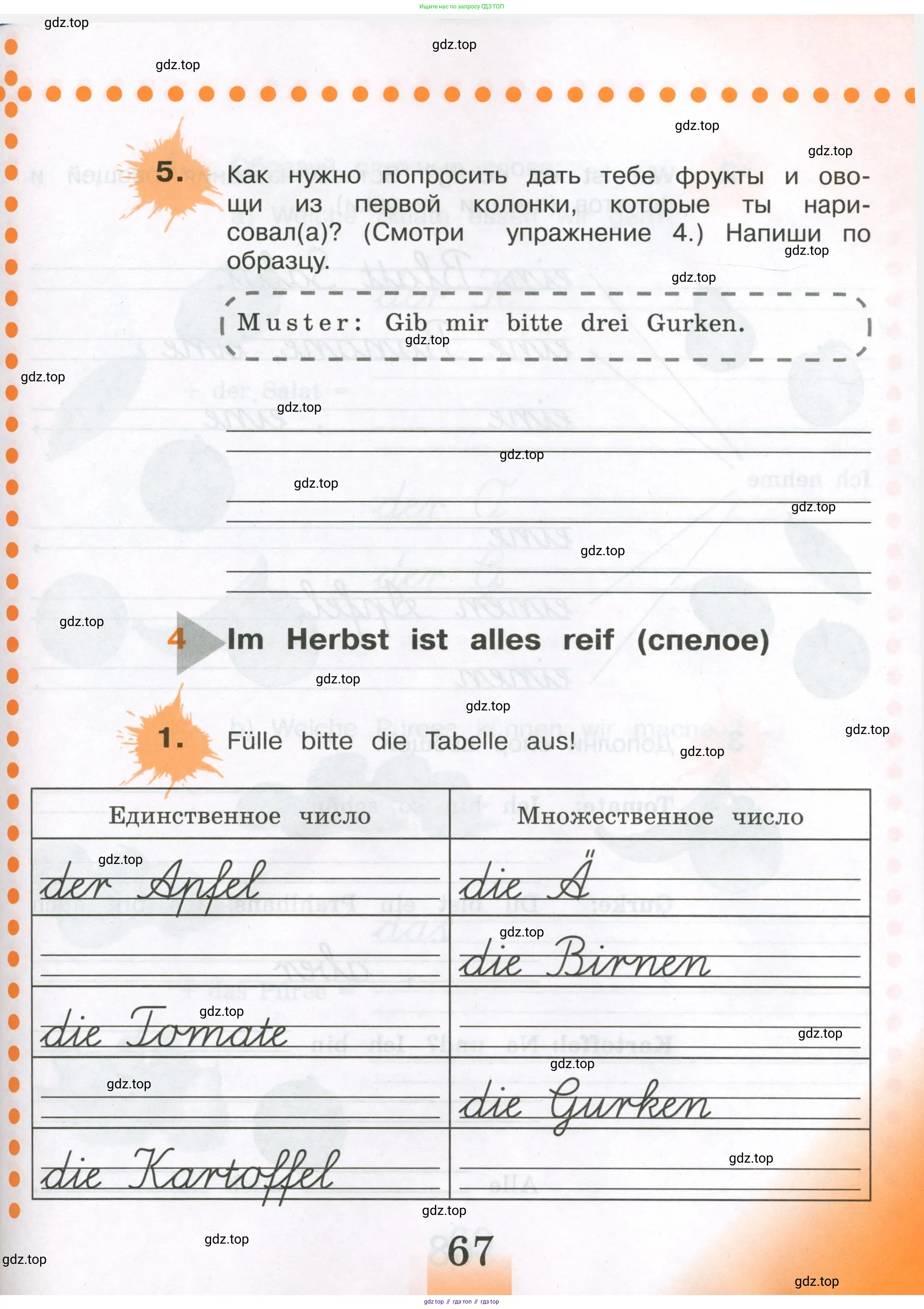 Немецкий язык (Deutsch), 3 класс рабочая тетрадь (arbeitsbuch), авторы: Бим Инесса Львовна (Bim I), Рыжова Лариса Ивановна (Ryschowa L), Фомичева Людмила Михайловна (Fomitschjowa L), издательство Просвещение, Москва, 2023, салатового цвета, Часть 1, страница 67